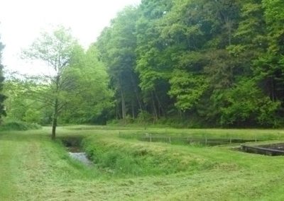 Waldlage der Weiheranlage Heimlinger Tal bei Losheim am See mit ruhigen Angelplätzen
