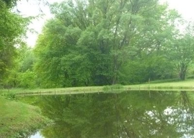 Naturnaher Angelweiher der Weiheranlage Heimlinger Tal bei Losheim am See