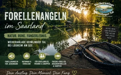Forellenangeln Saarland: Warum das Heimlinger Tal bei Losheim am See mehr ist als nur ein Angelweiher